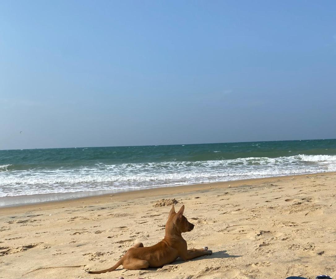 Sea Sand Resort Калпития Екстериор снимка