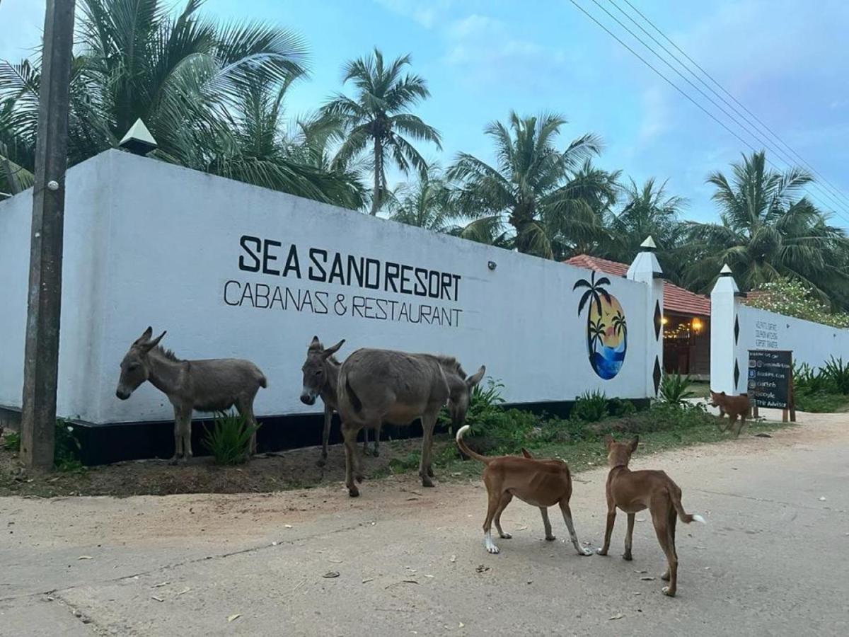 Sea Sand Resort Калпития Екстериор снимка