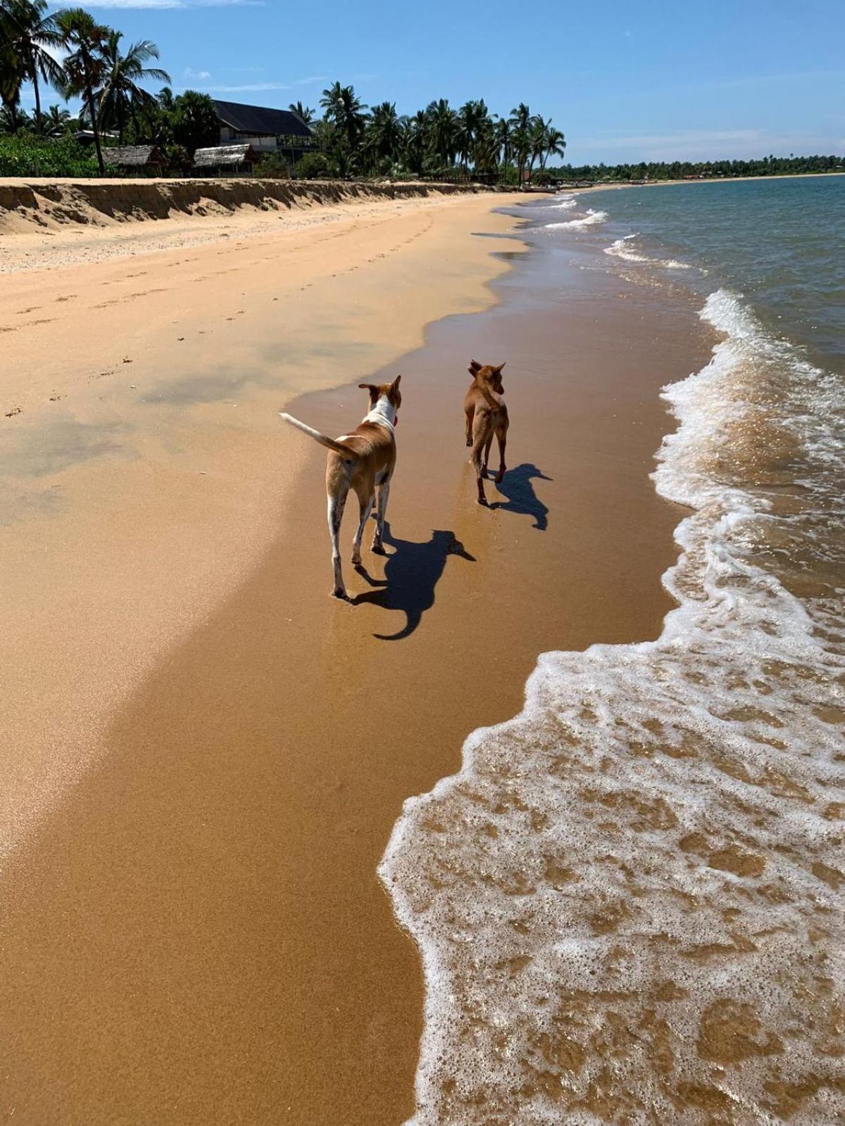 Sea Sand Resort Калпития Екстериор снимка